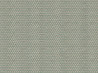 Duck egg
