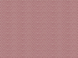 Rhubarb