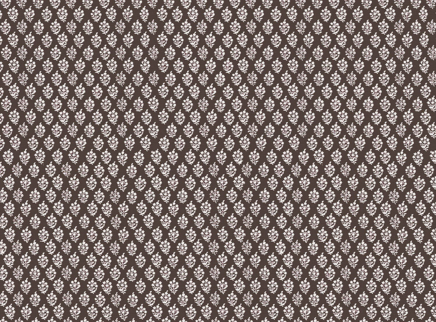 CW: Dark chocolate | BASE: Luxury Linen