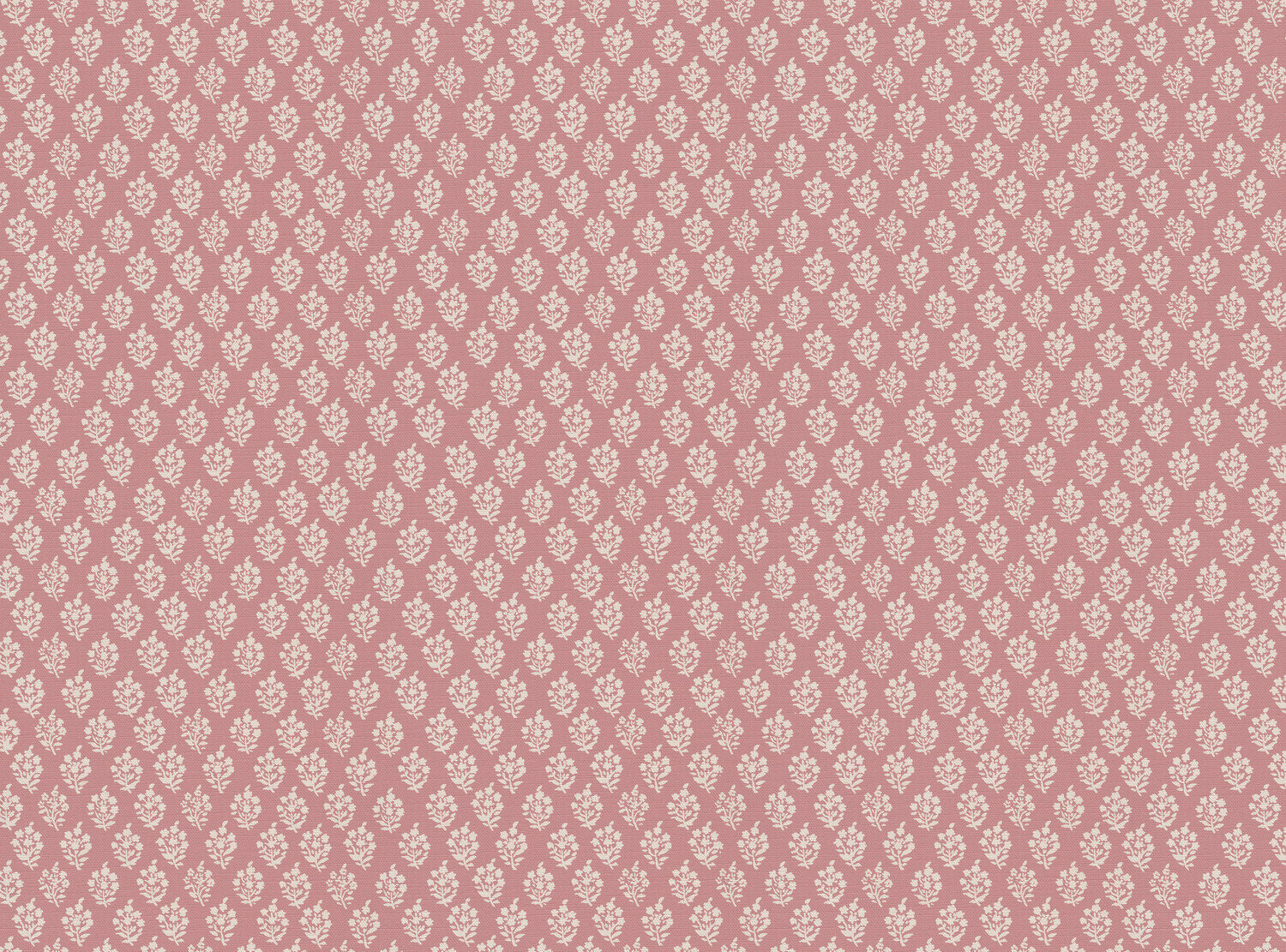 CW: Soft pink | BASE: Luxury Linen