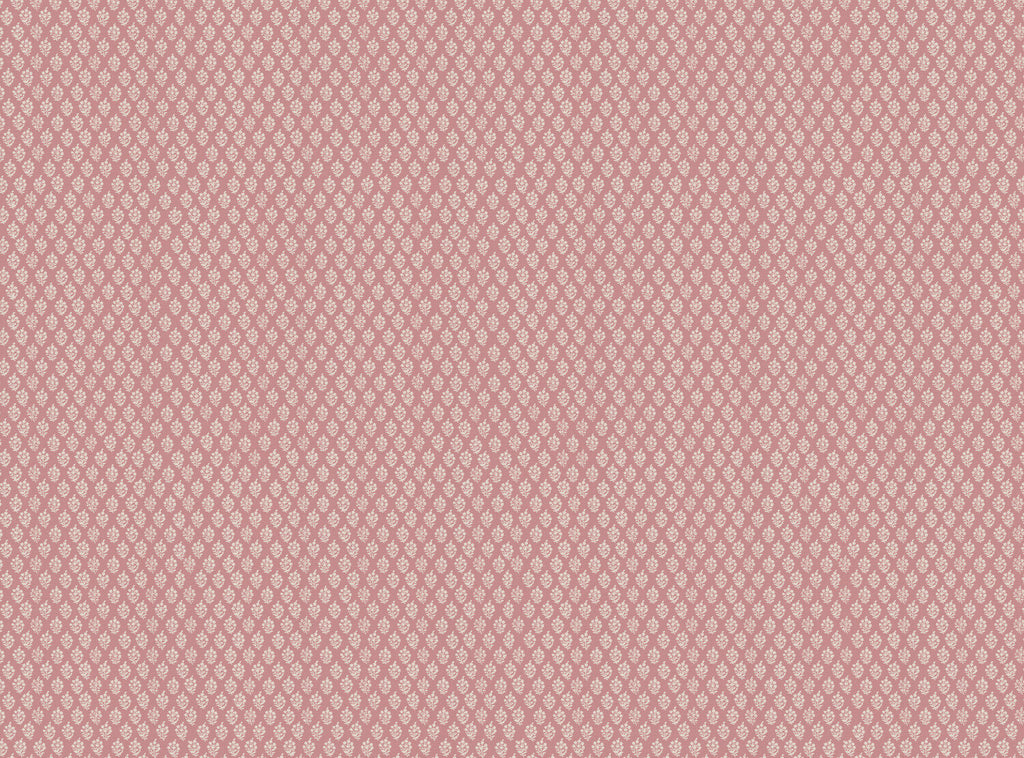 CW: Soft pink | BASE: Luxury Linen