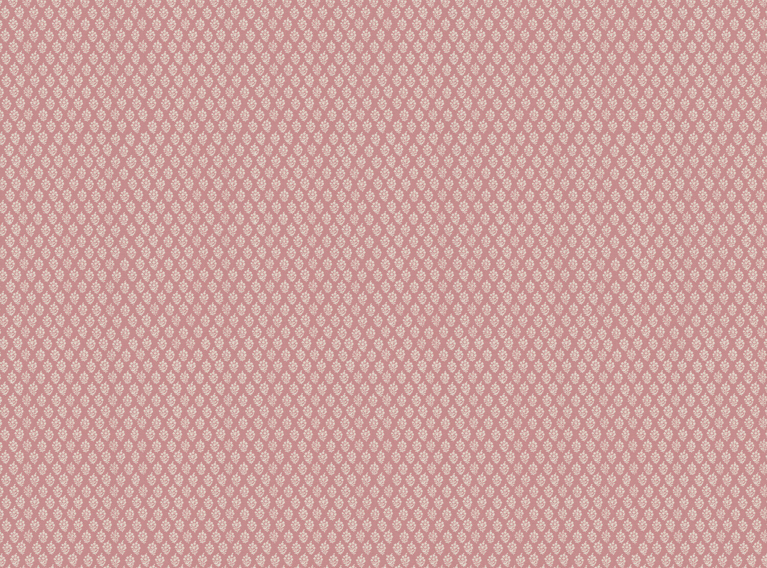 CW: Soft pink | BASE: Luxury Linen