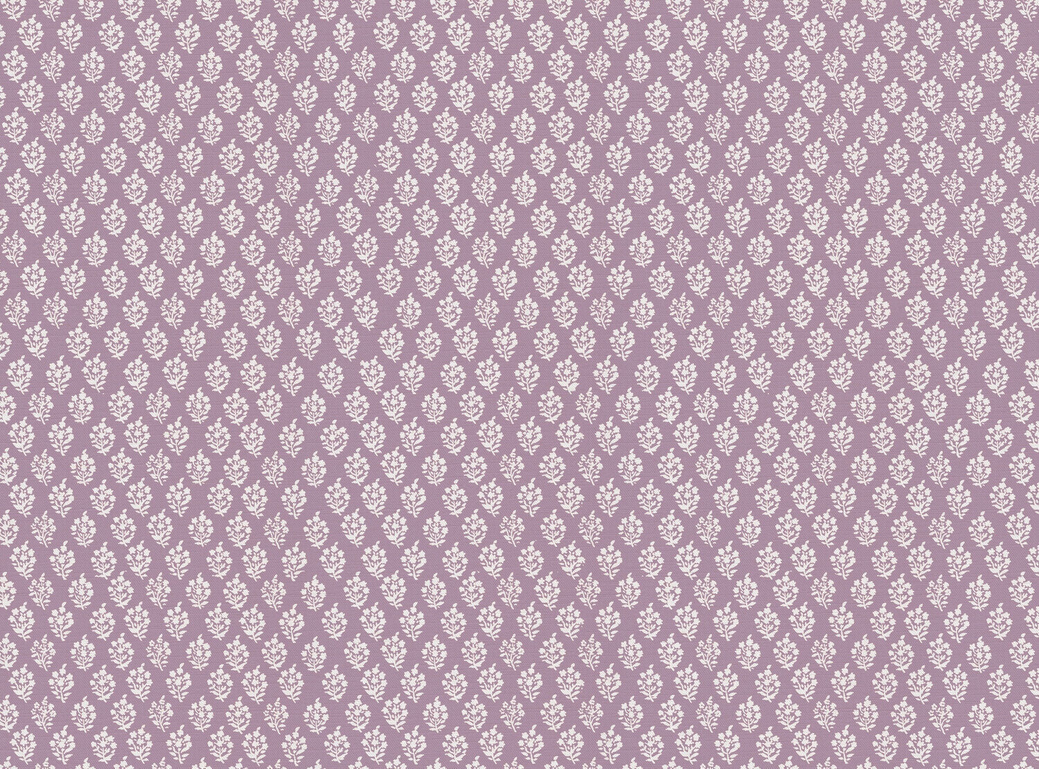 CW: Lavender | BASE: Luxury Linen