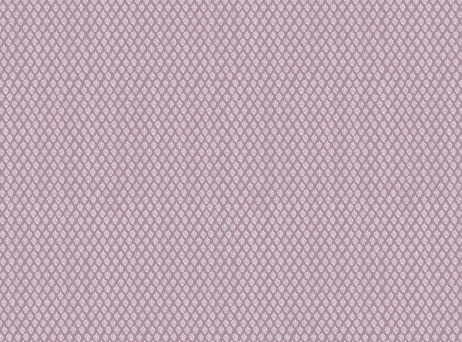 CW: Lavender | BASE: Luxury Linen