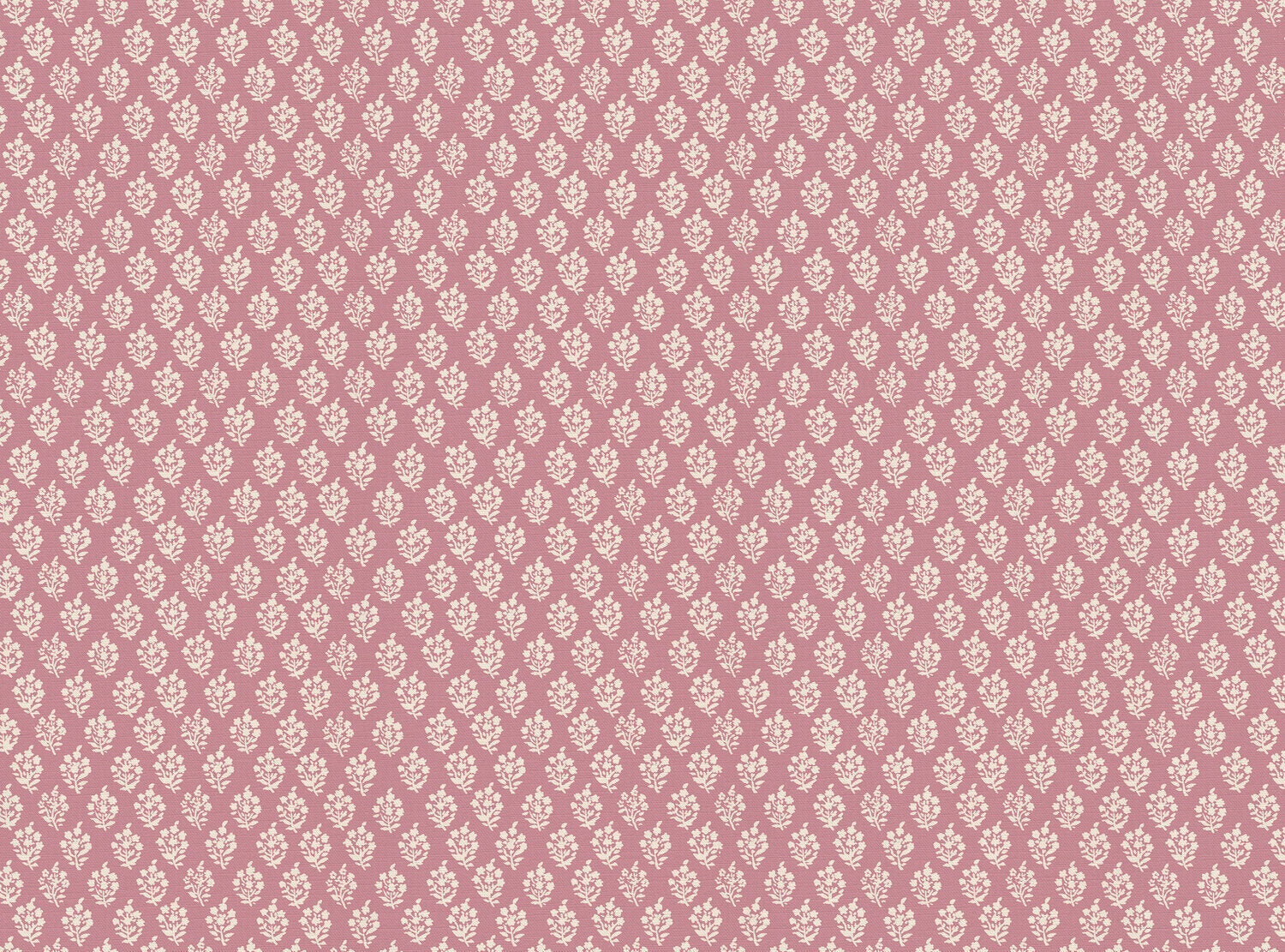 CW: Wild orchid pink | BASE: Luxury Linen