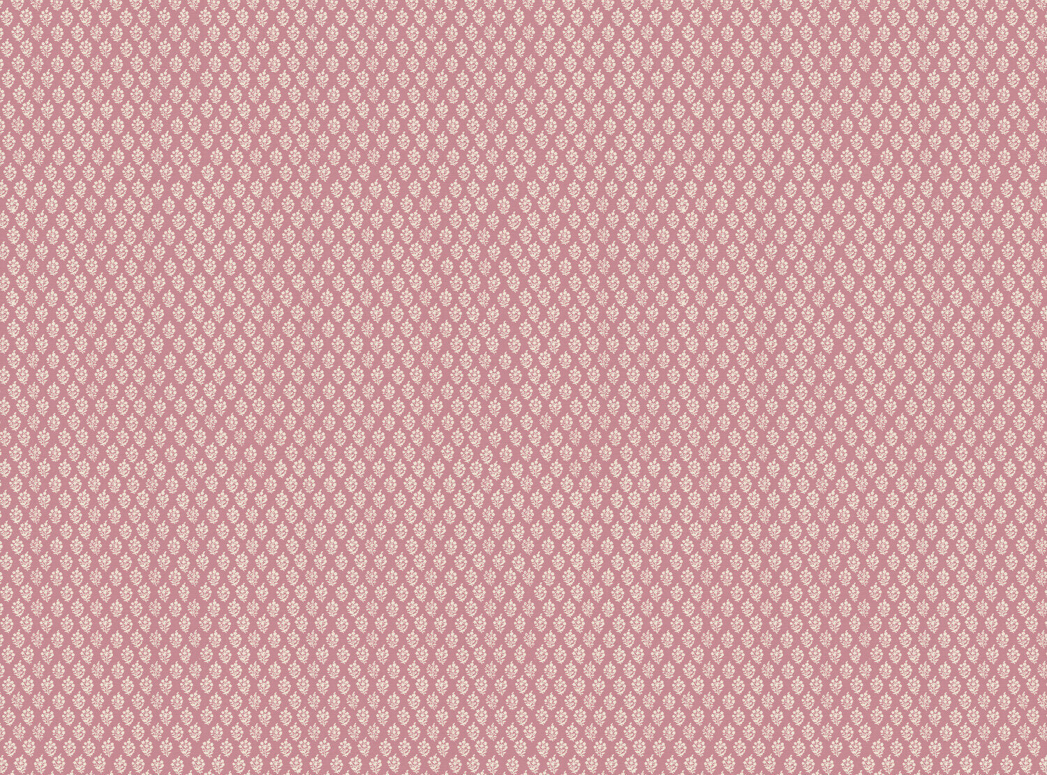 CW: Wild orchid pink | BASE: Luxury Linen