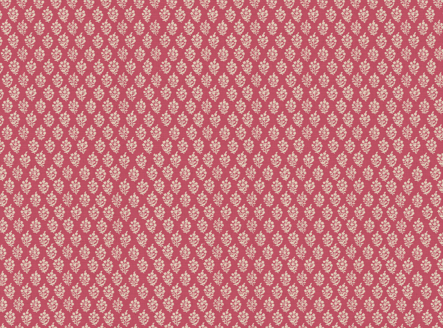CW: Pink | BASE: Mercia Linen