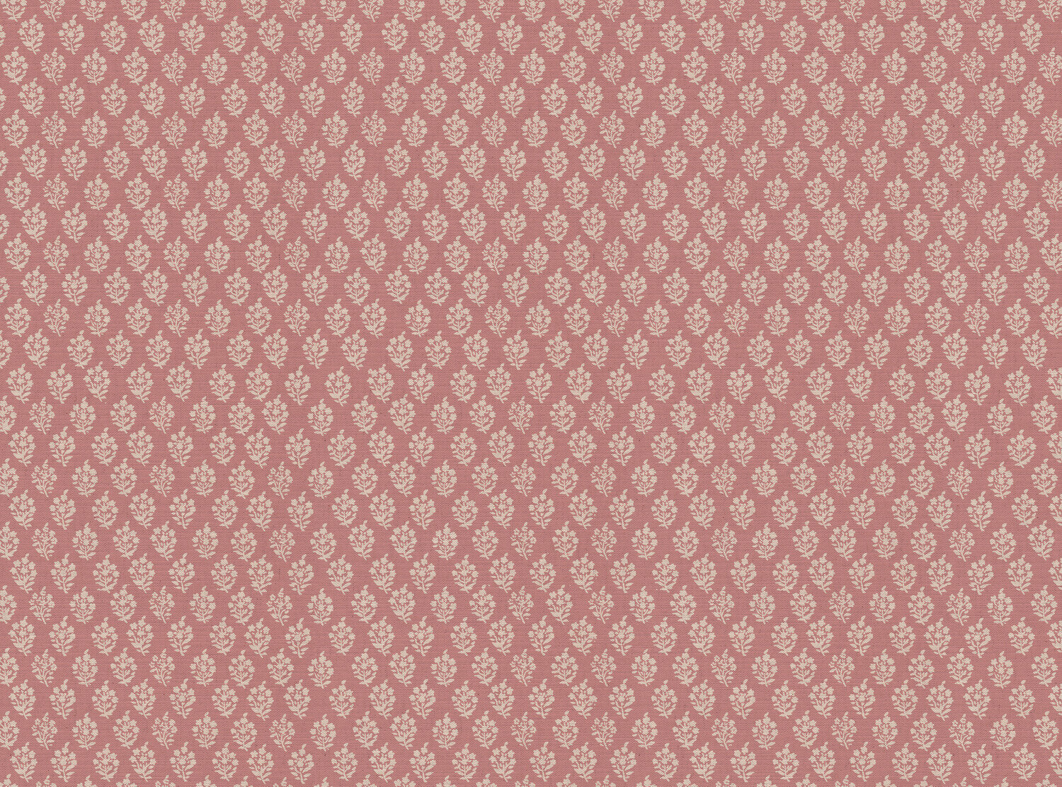 CW: Soft pink | BASE: Mercia Linen