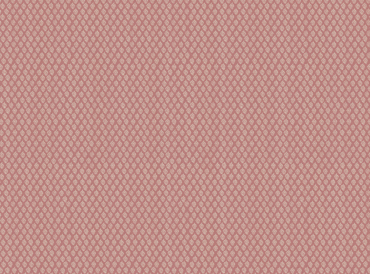 CW: Soft pink | BASE: Mercia Linen