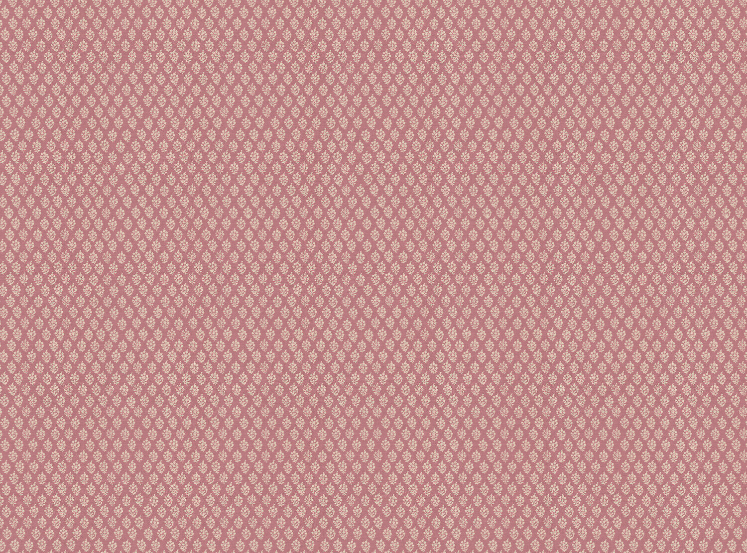 CW: Wild orchid pink | BASE: Mercia Linen