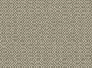 Grey green ground