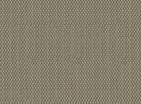 Deep grey green