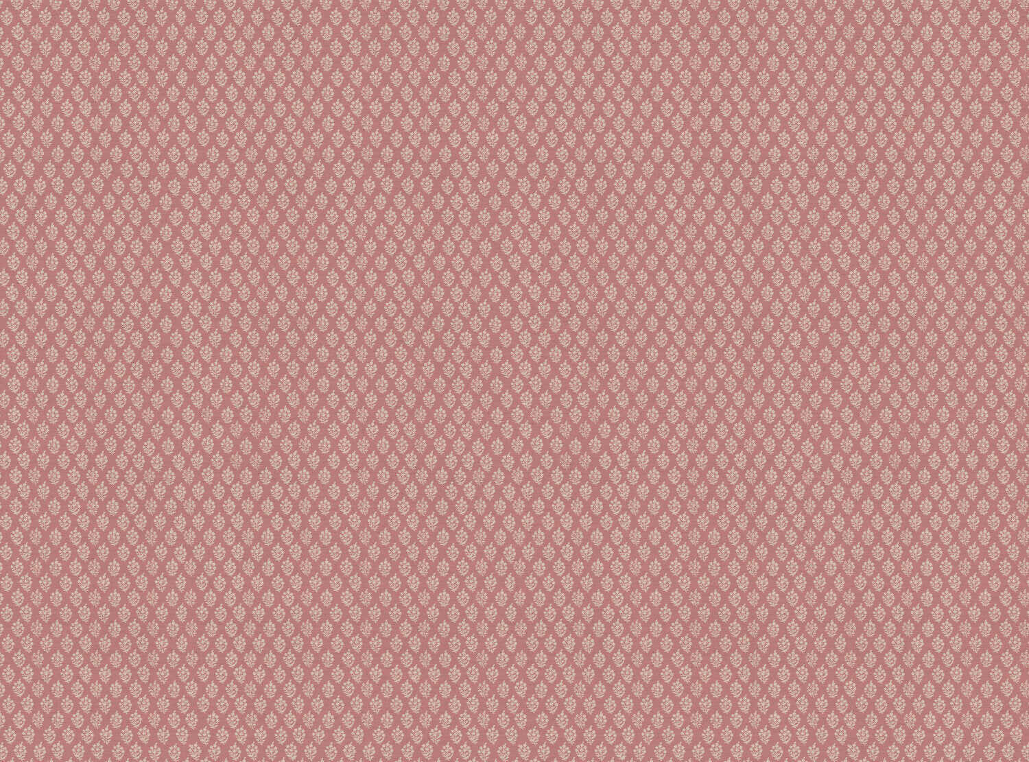 CW: Soft pink | BASE: Natural Luxury Linen