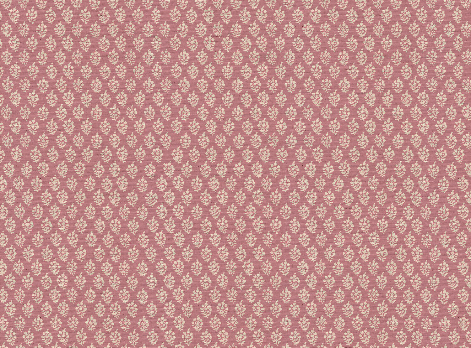 CW: Wild orchid pink | BASE: Natural Luxury Linen
