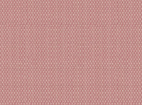 Wild orchid pink