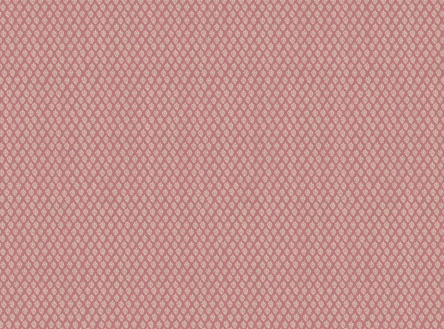 CW: Wild orchid pink | BASE: Natural Luxury Linen