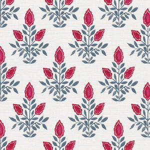 Pinky red and grey blue white ground