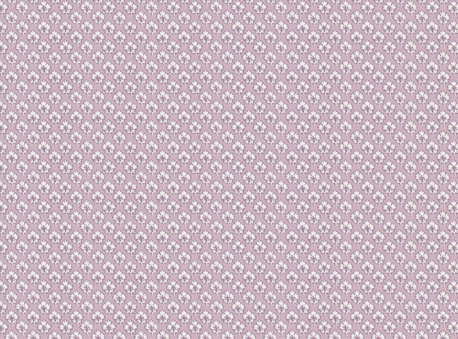 CW: Lilac on white | BASE: Luxury Linen