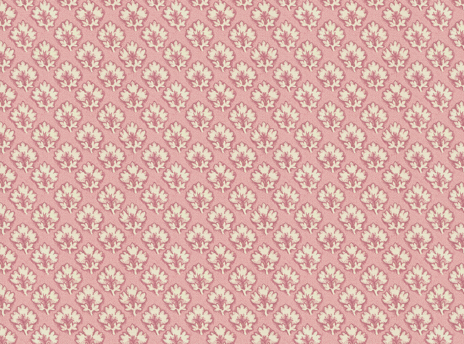 CW: Soft pink | BASE: Luxury Linen