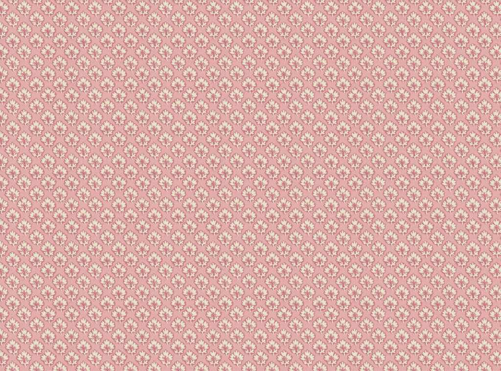 CW: Soft pink | BASE: Luxury Linen