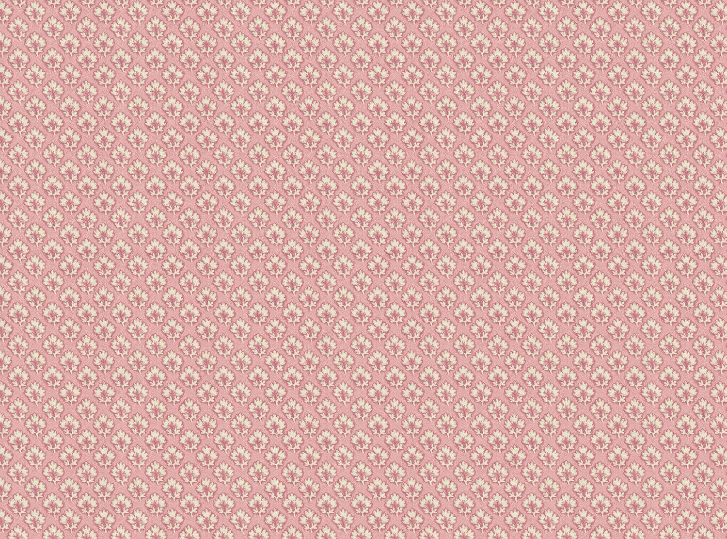 CW: Soft pink | BASE: Luxury Linen