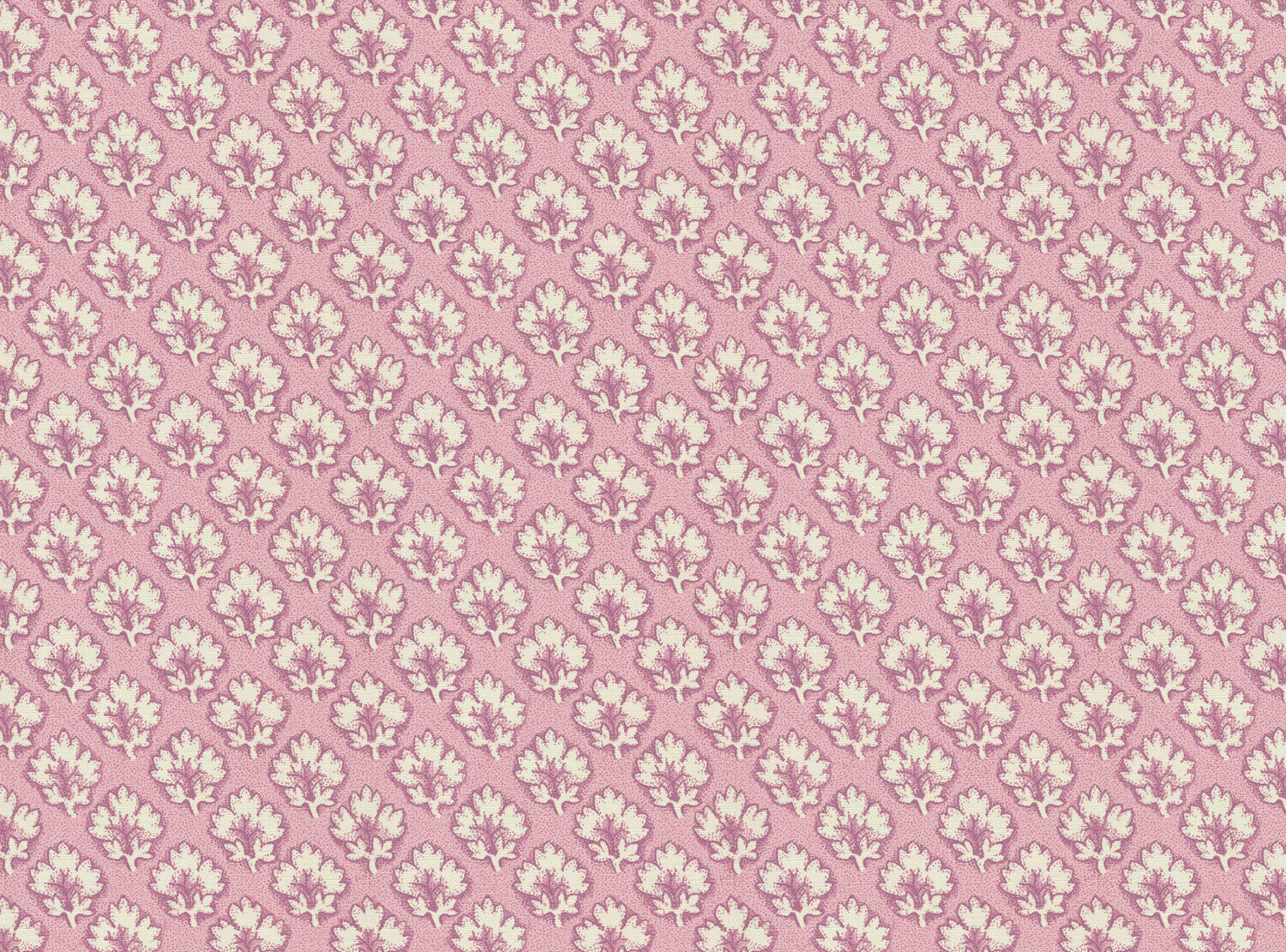 CW: Dusky rose | BASE: Luxury Linen
