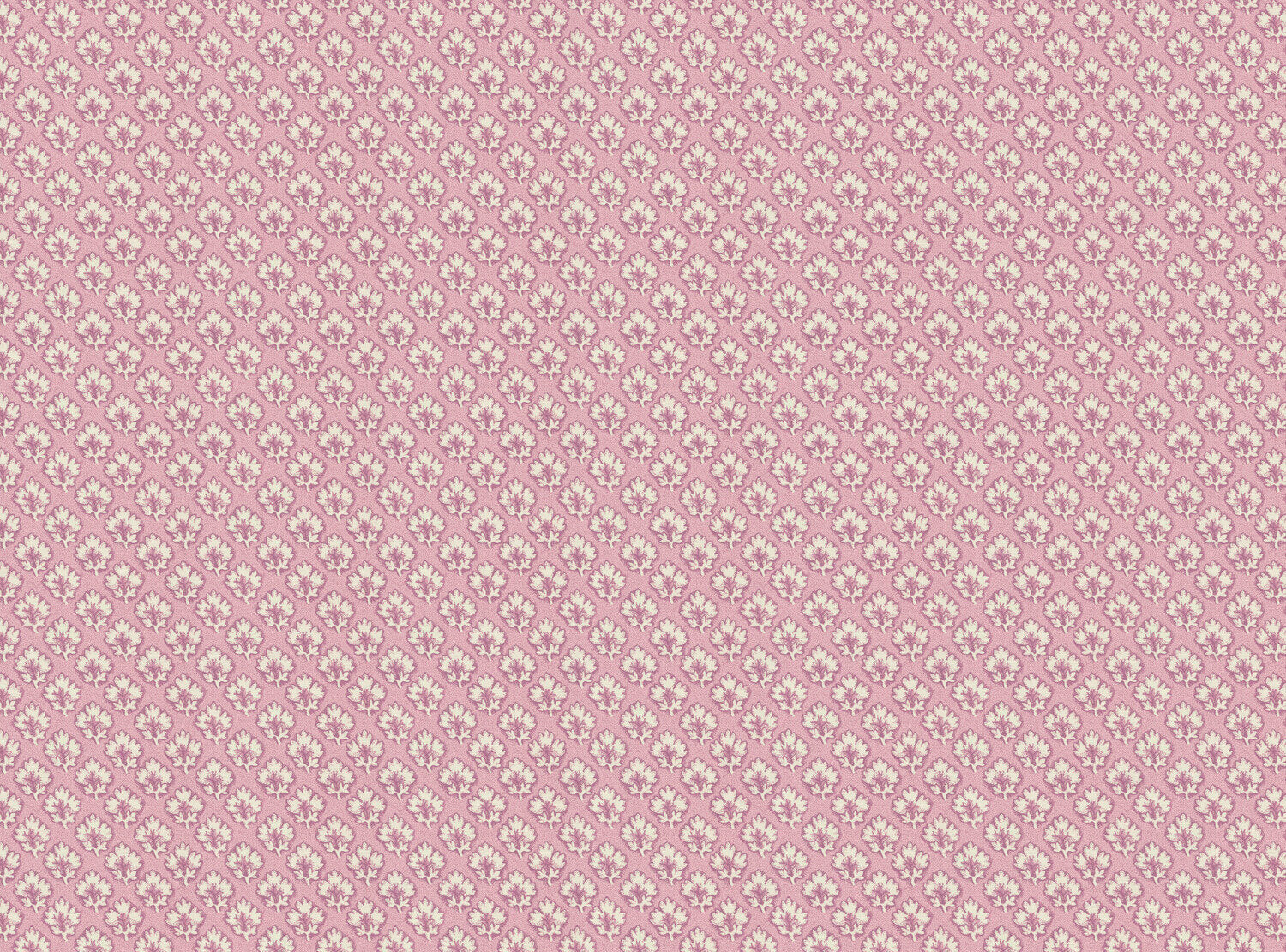 CW: Dusky rose | BASE: Luxury Linen