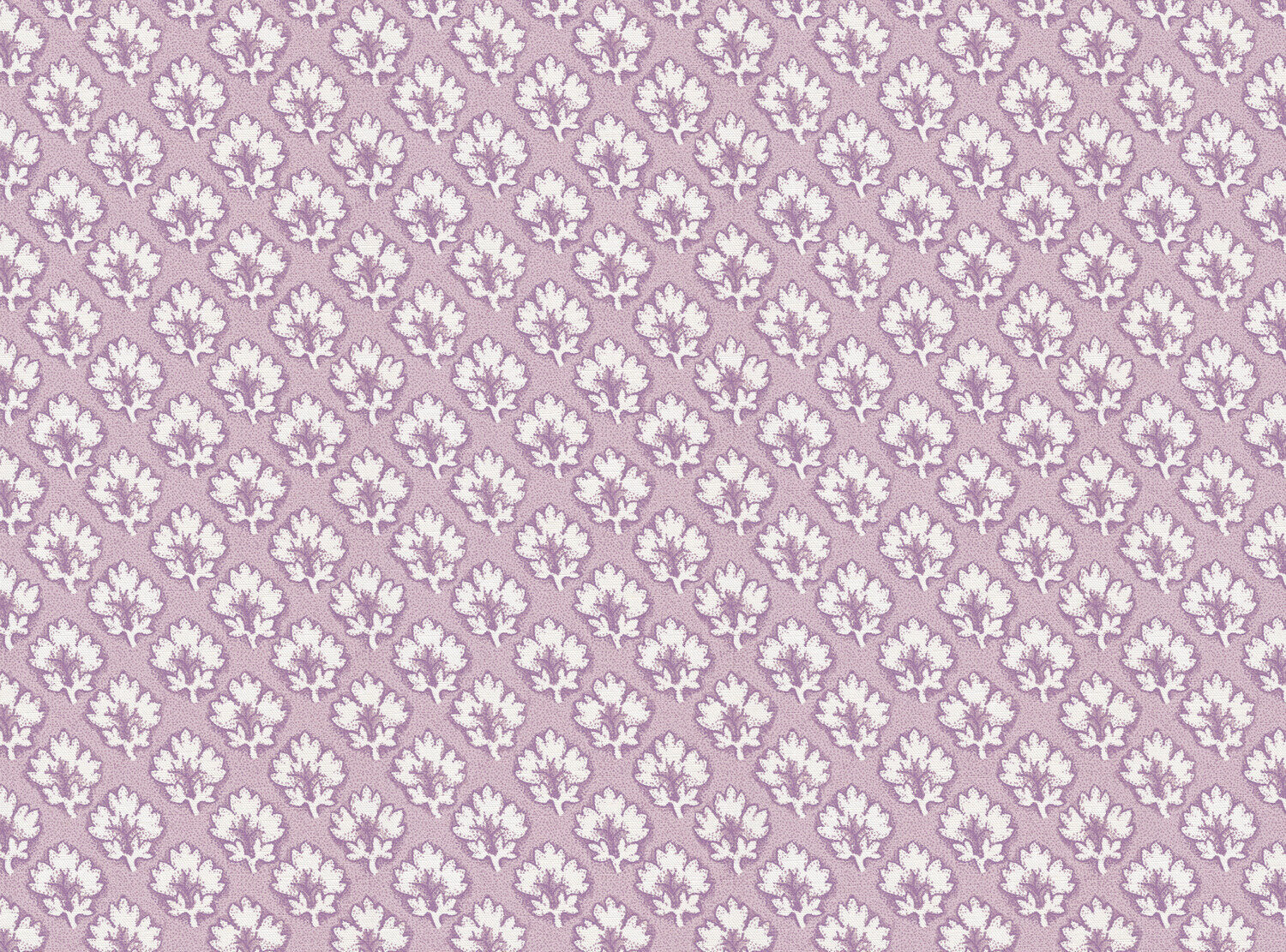 CW: Lavender | BASE: Luxury Linen