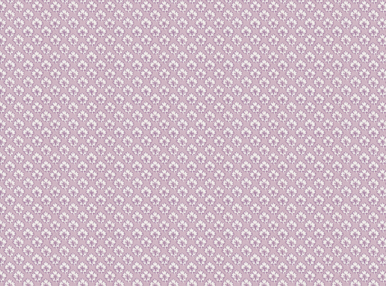 CW: Lavender | BASE: Luxury Linen