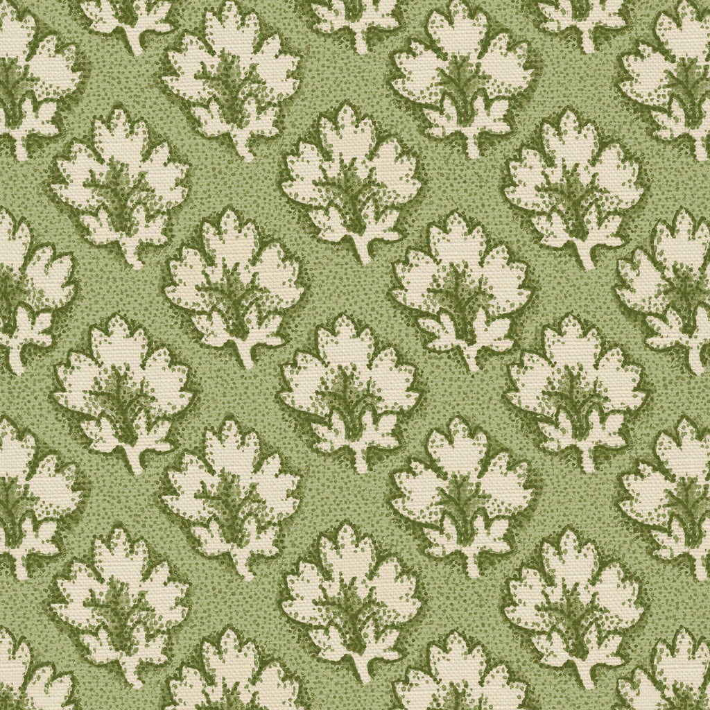 CW: Tea green | BASE: Luxury Linen | HERO