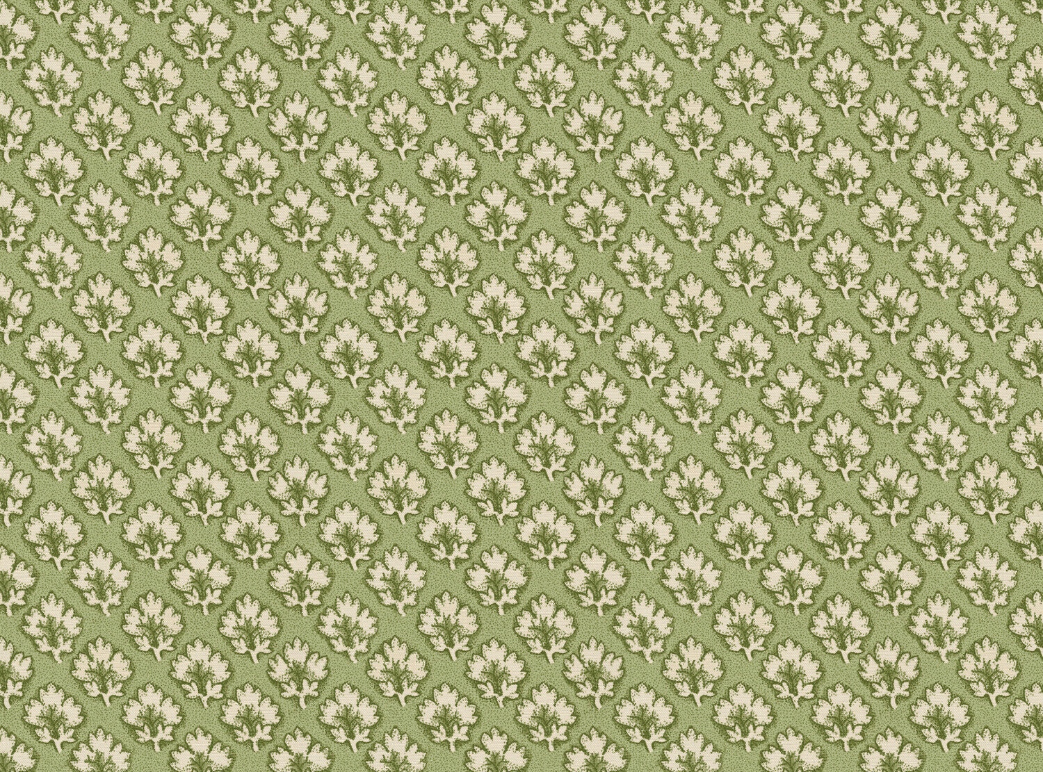 CW: Tea green | BASE: Luxury Linen