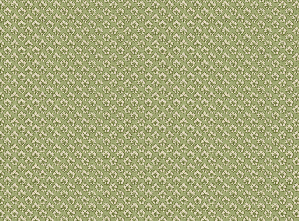 CW: Tea green | BASE: Luxury Linen