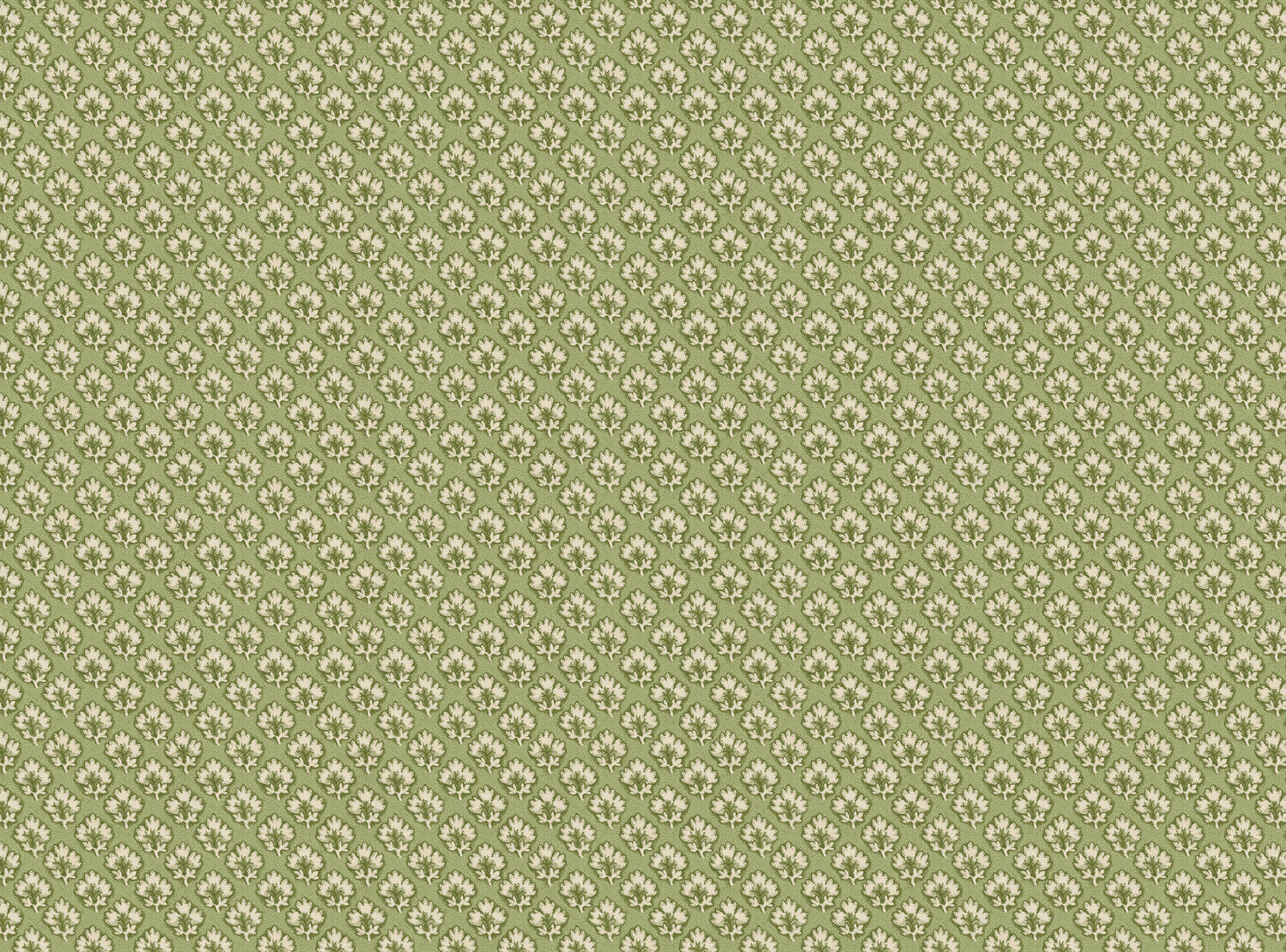 CW: Tea green | BASE: Luxury Linen
