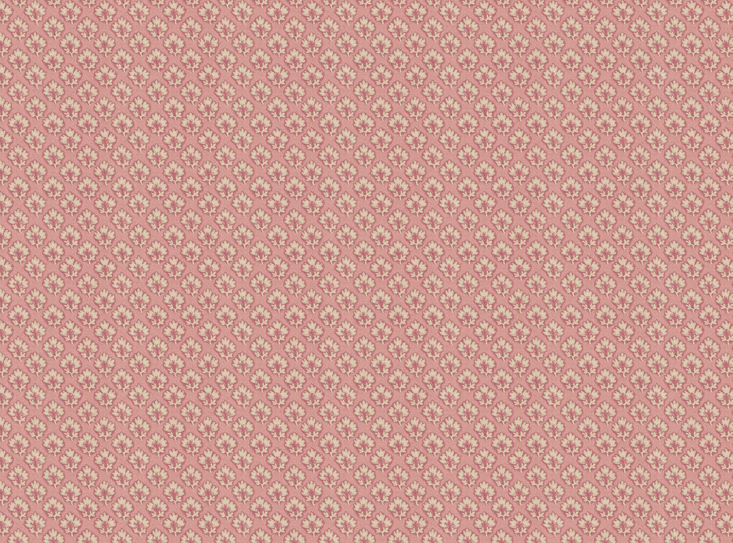 CW: Soft pink | BASE: Mercia Linen