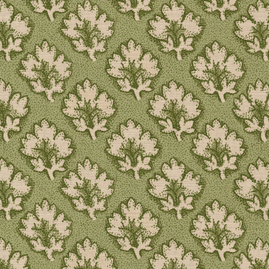 CW: Tea green | BASE: Mercia Linen | HERO