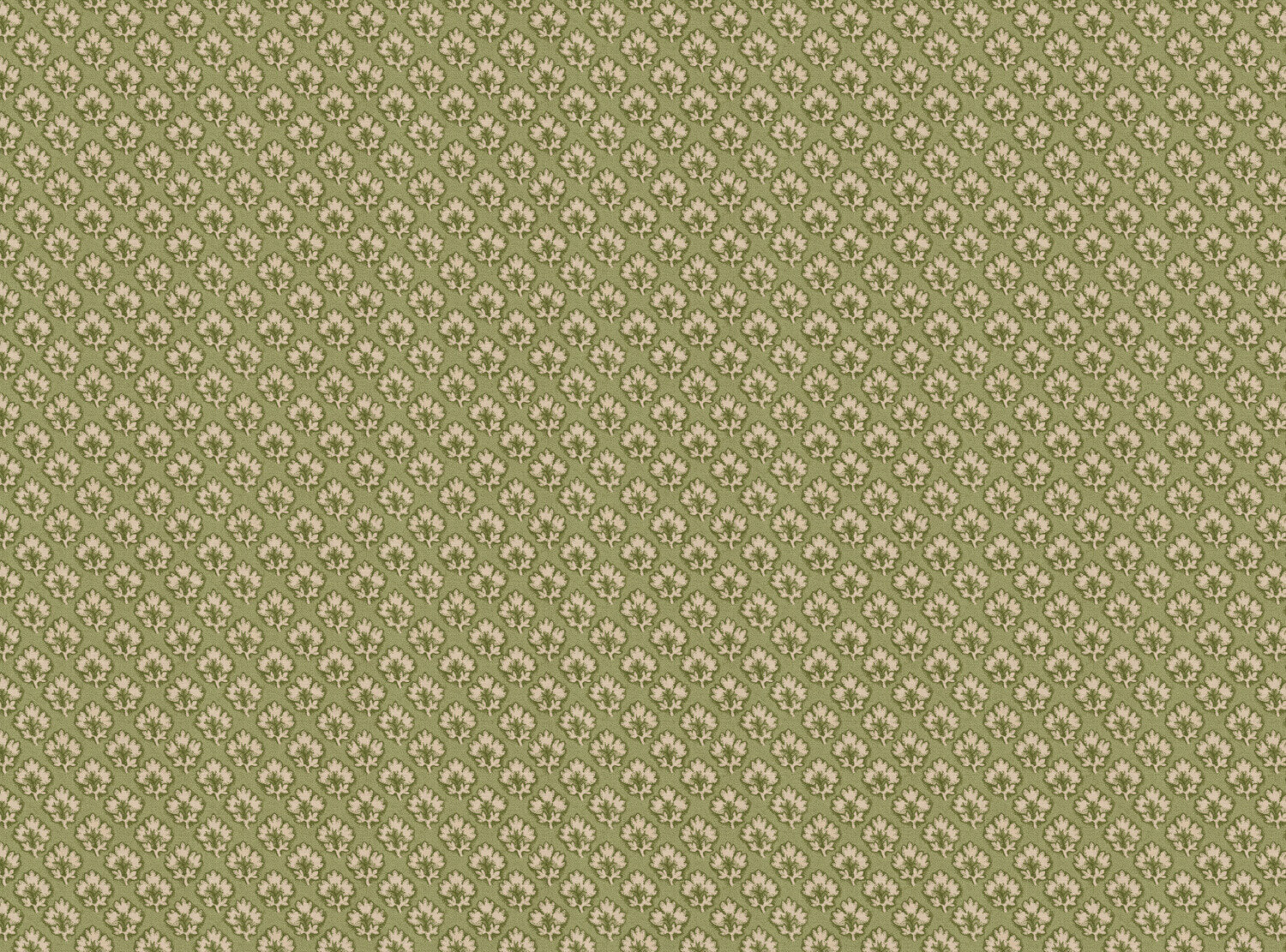 CW: Tea green | BASE: Mercia Linen