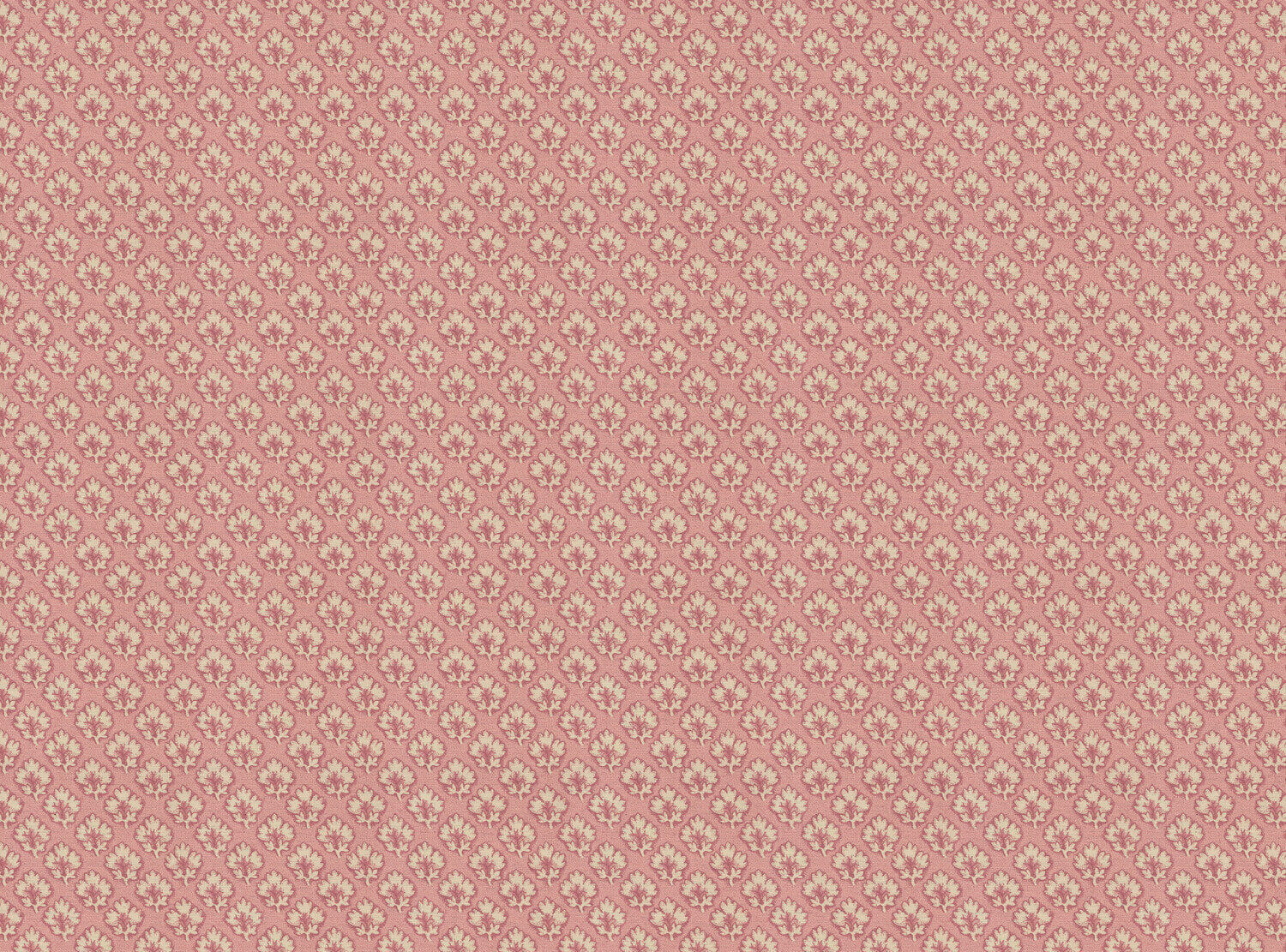 CW: Soft pink | BASE: Natural Luxury Linen
