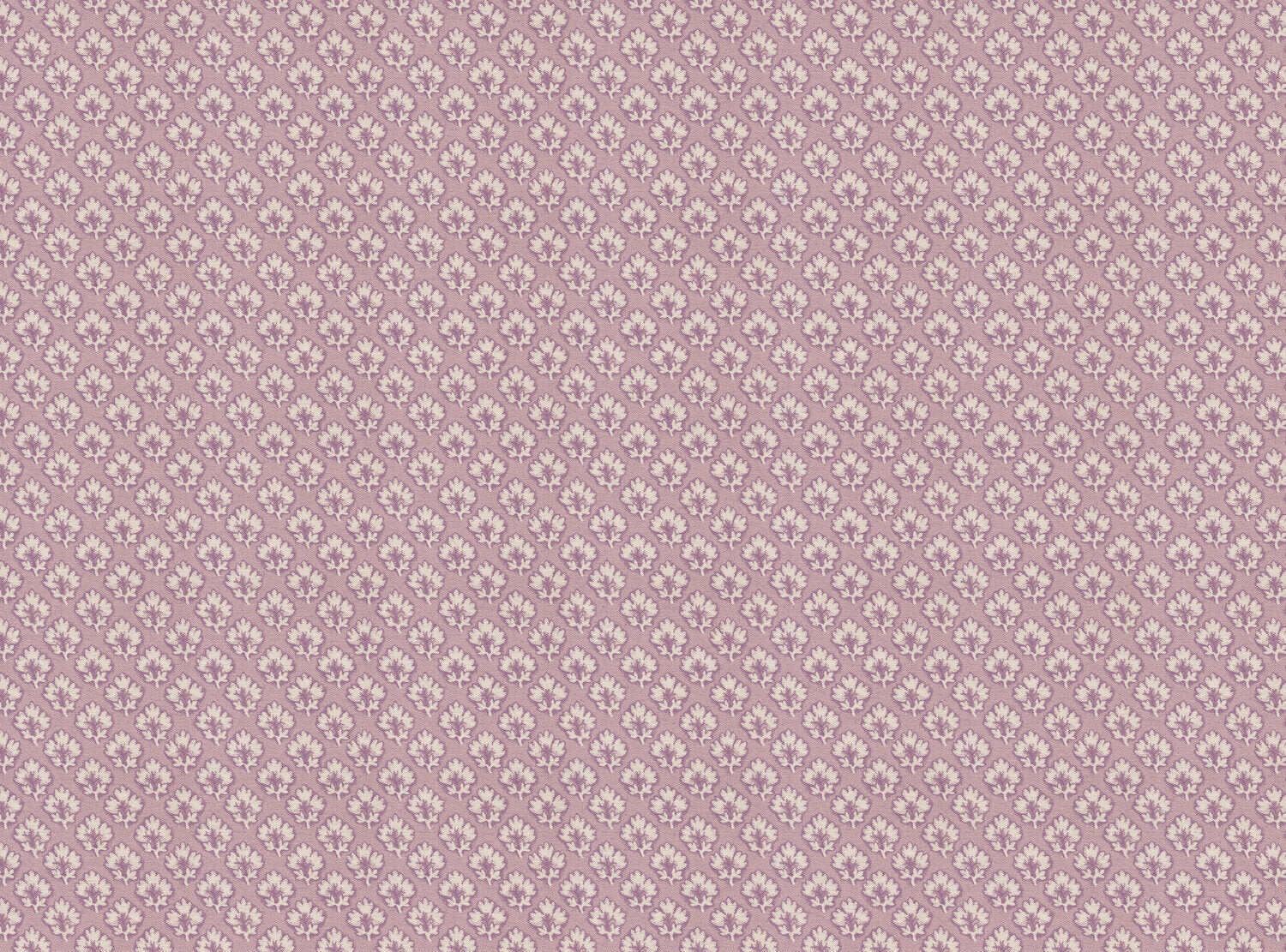 CW: Lavender | BASE: Natural Luxury Linen