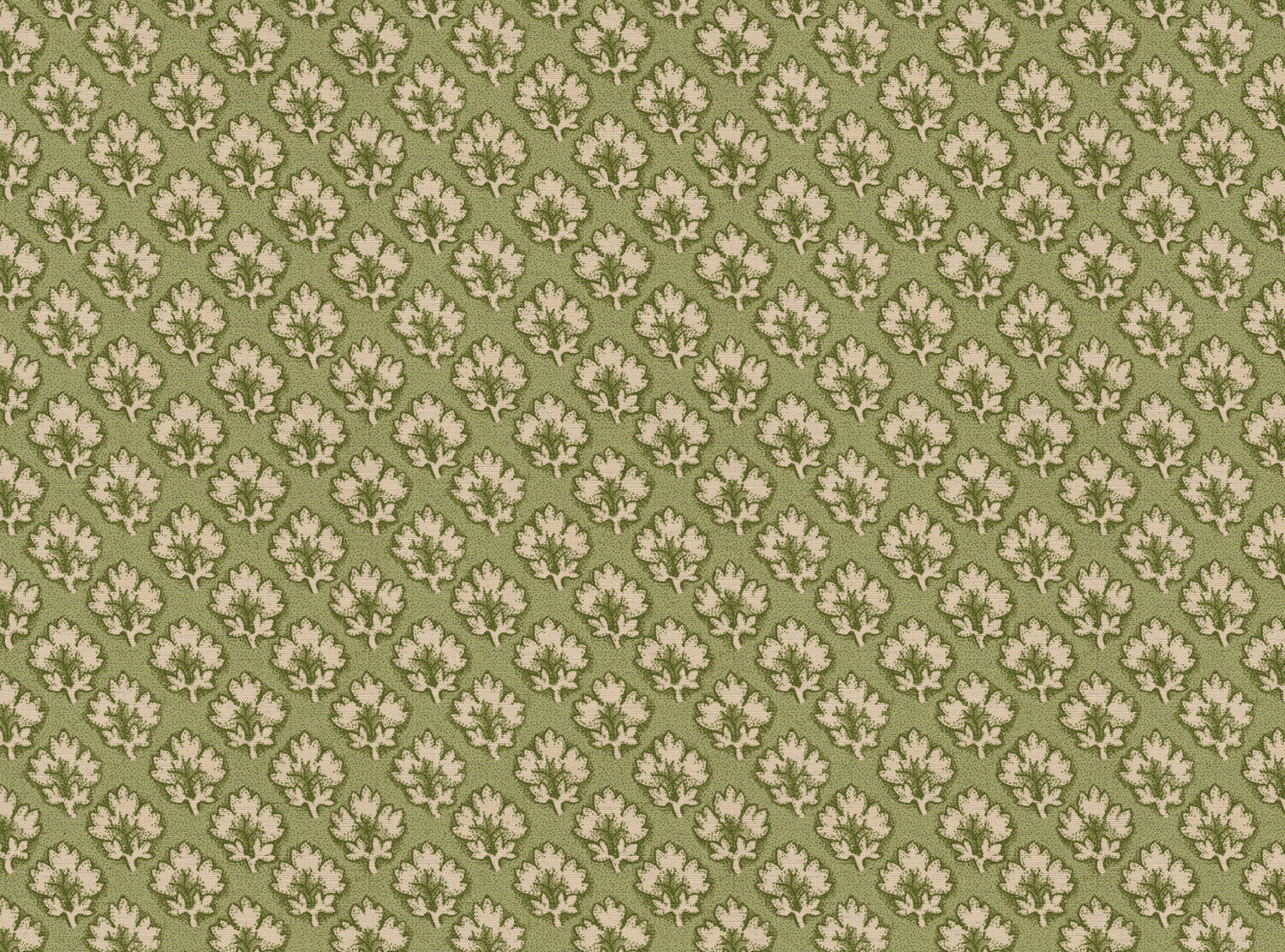 CW: Tea green | BASE: Natural Luxury Linen