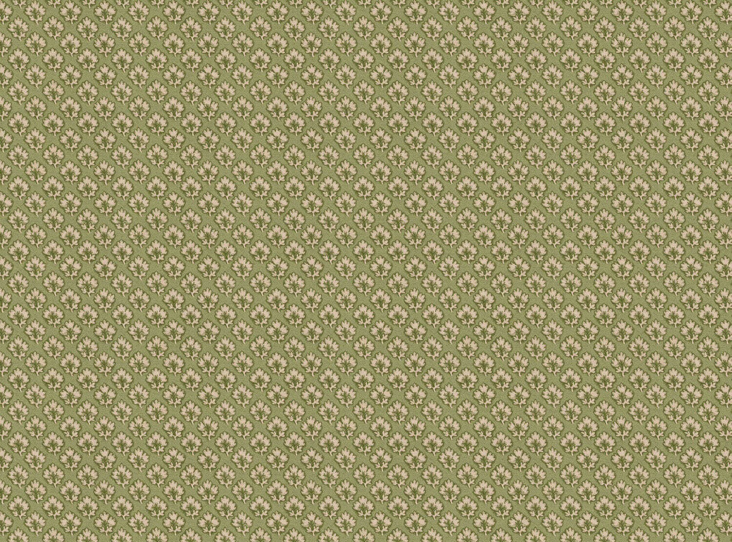CW: Tea green | BASE: Natural Luxury Linen