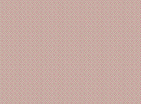 Wild orchid pink and green