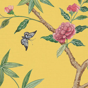 Soft Chinese yellow ground