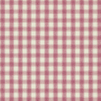 Wild orchid pink