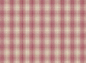 Wild orchid pink