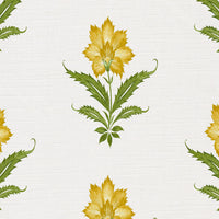 Yellow and green white ground