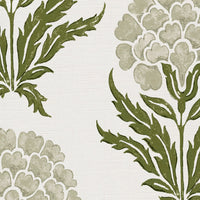 Neutral and olive