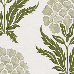 Neutral and olive