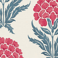Pinky red and blue