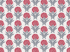 Warm red and grey blue light ground