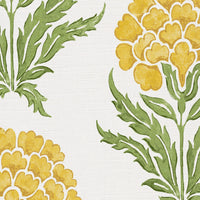 Yellow and blue green